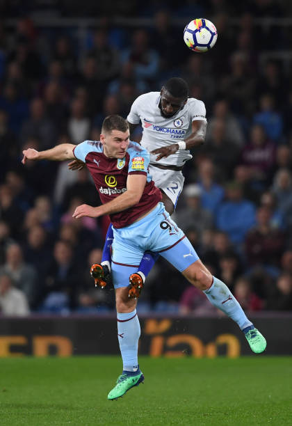 波波维奇的 波波维奇的