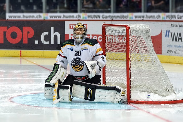 际滑雪赛事 际滑雪赛事